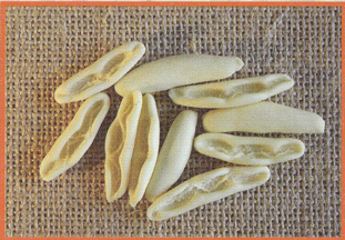 Cavatelli